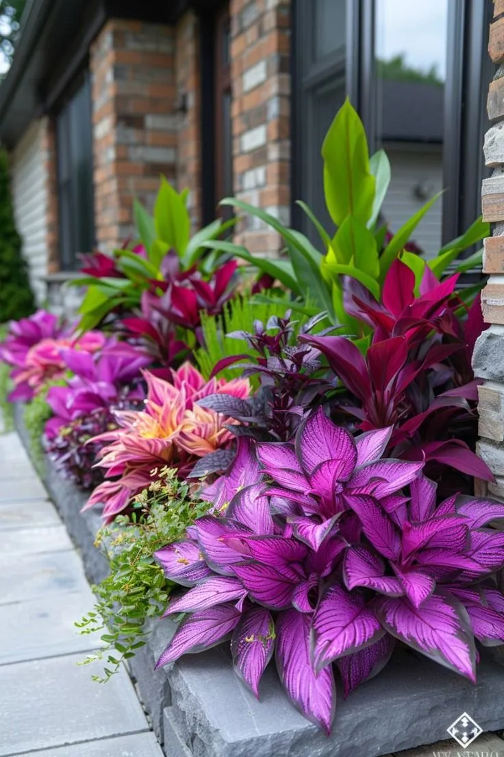 De ce Nu Înfloresc Plantele Mele? 10 Motive Frecvente și Soluții Ușor de Aplicat
