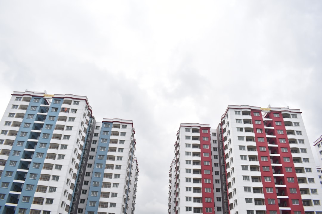 Cum să construiești un brand memorabil cu un buget de startup