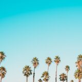 Photo text publicitar